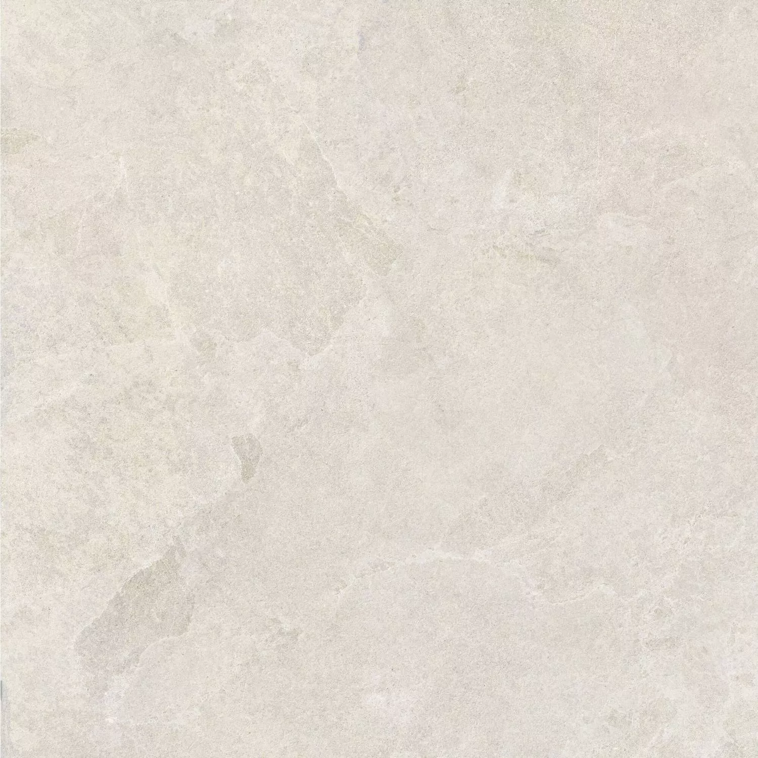 Bone AS C R 100x100